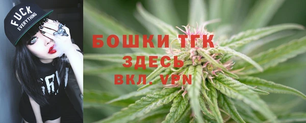 тгк Балабаново