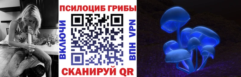 где продают наркотики  Магас  Галлюциногенные грибы мухоморы 
